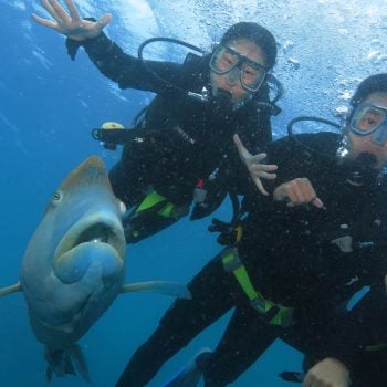 Great Barrier Reef Introductory Diving