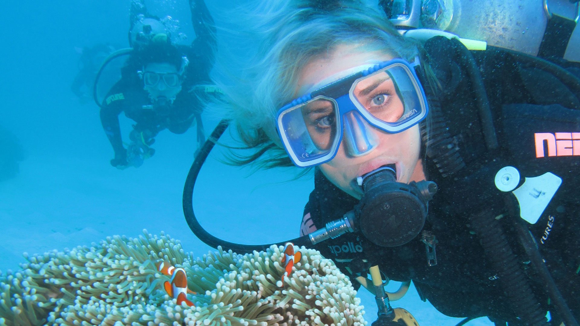 Great Barrier Reef Scuba Diving Great Adventures Cruises Great