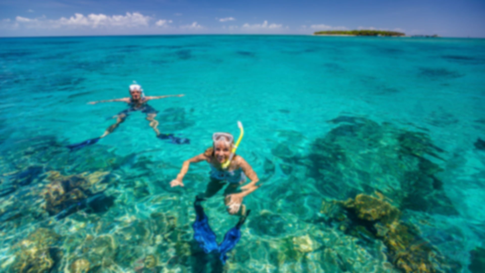 green island & great barrier reef snorkelling - great