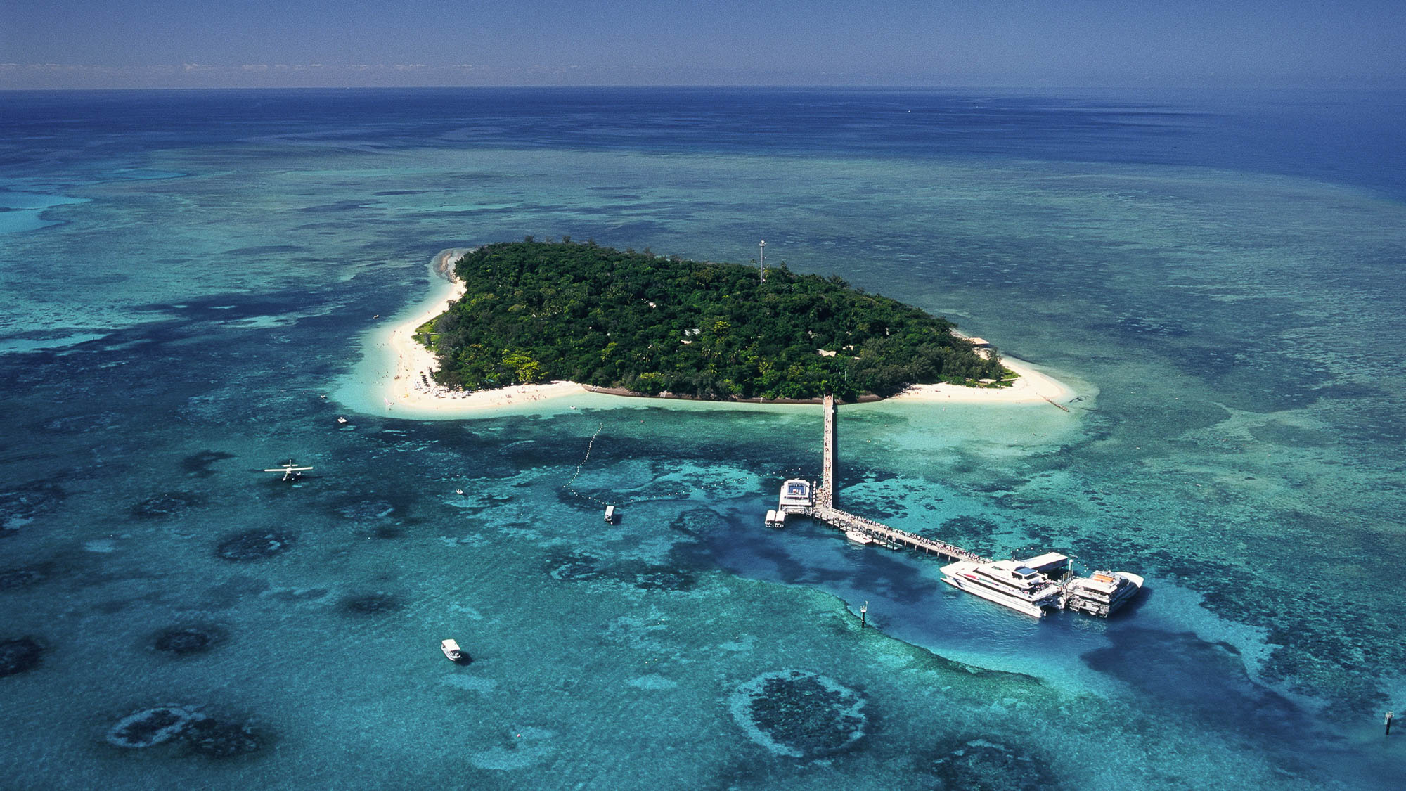 グレートバリアリーフアドベンチャー Great Adventures Cruises Cairns Great Adventures