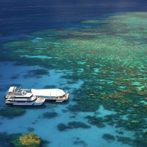 Great Barrier Reef Tour - Great Adventures Cruises, Cairns | Great ...