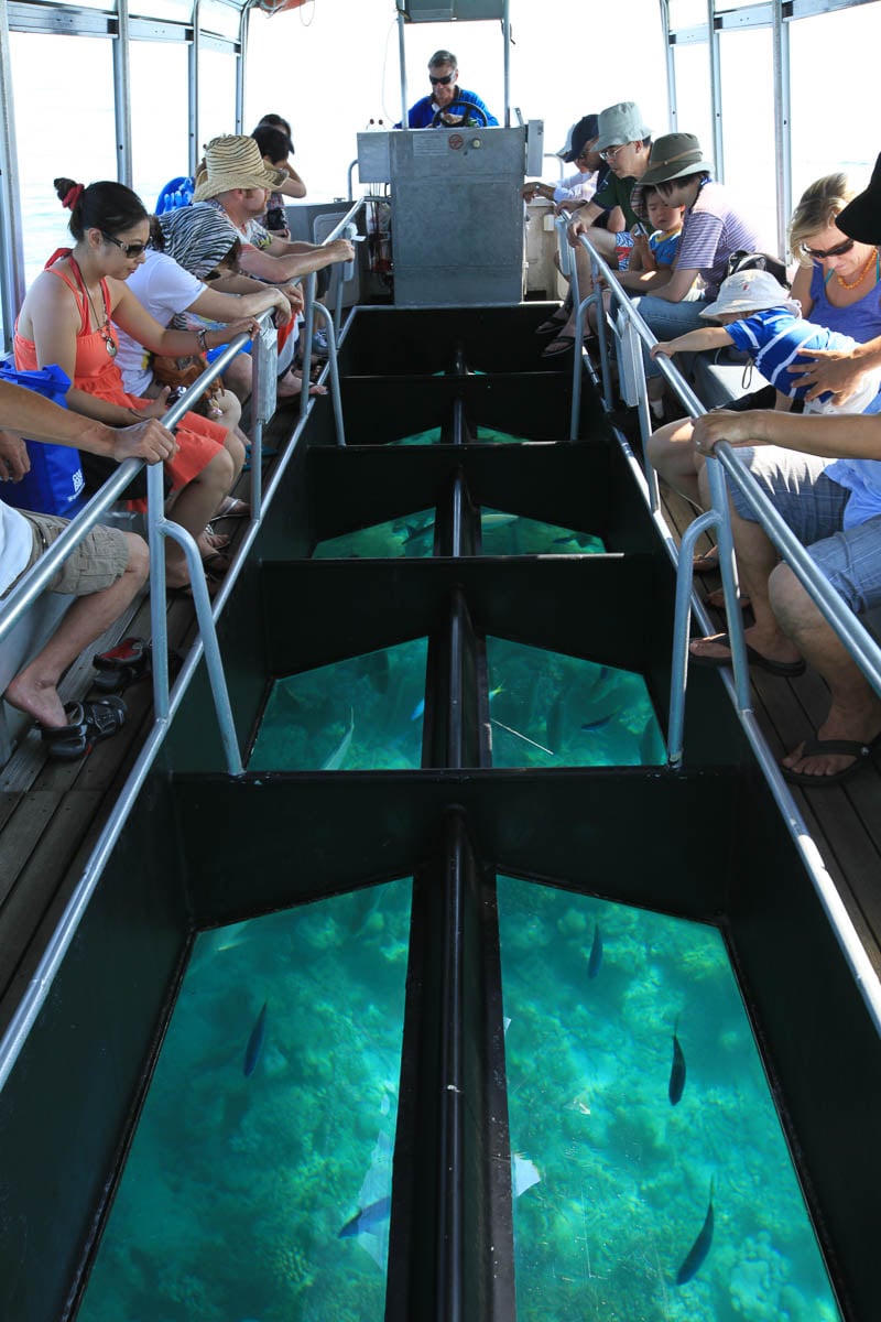reef tours cairns green island