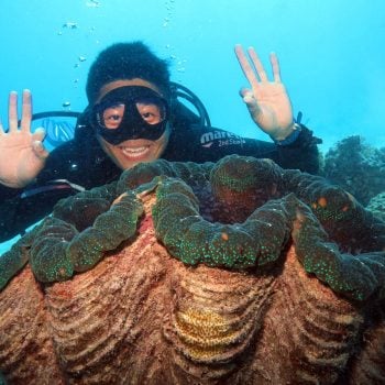 Great Barrier Reef Giant Clam