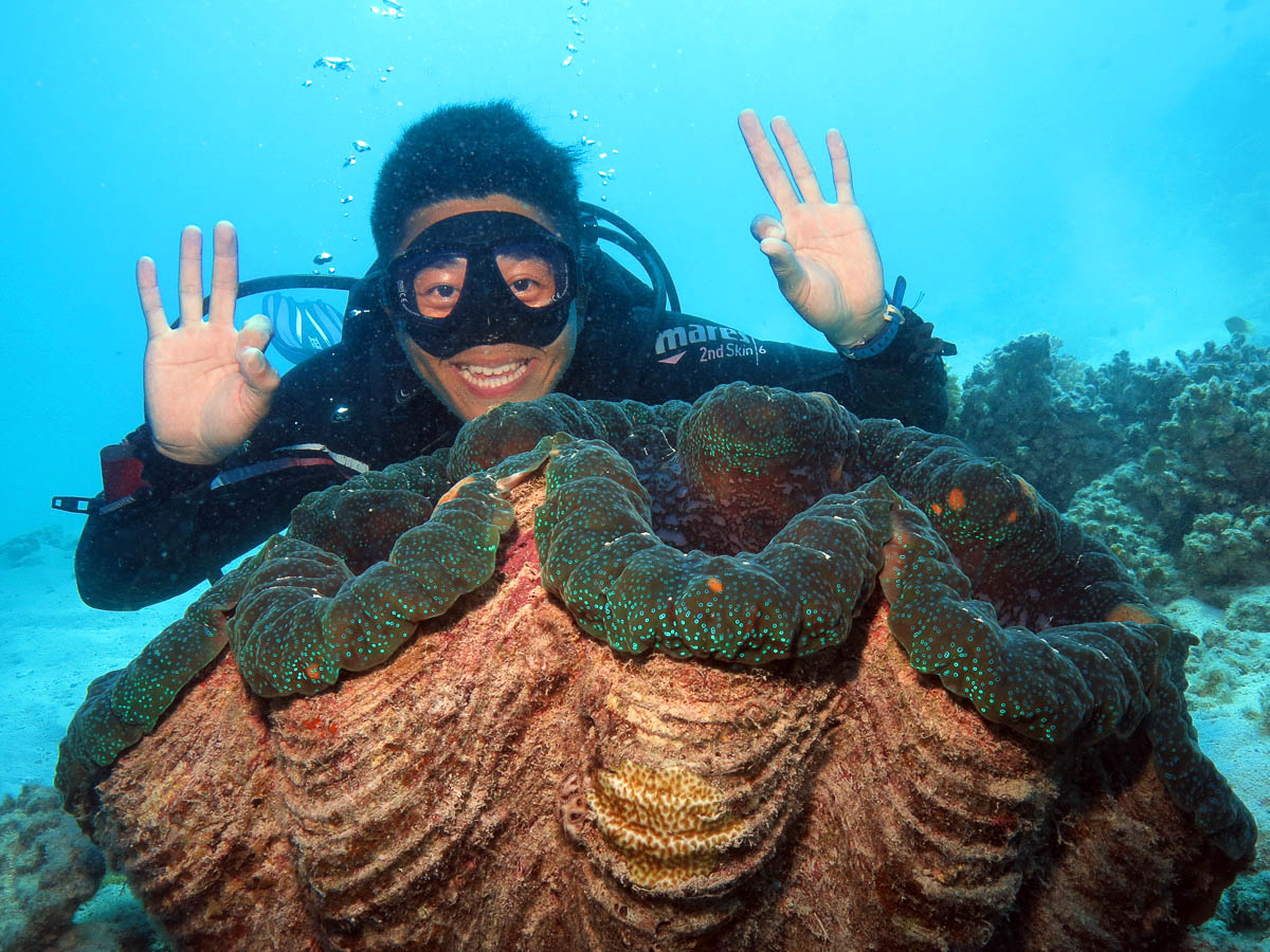 giant clam great barrier reef
