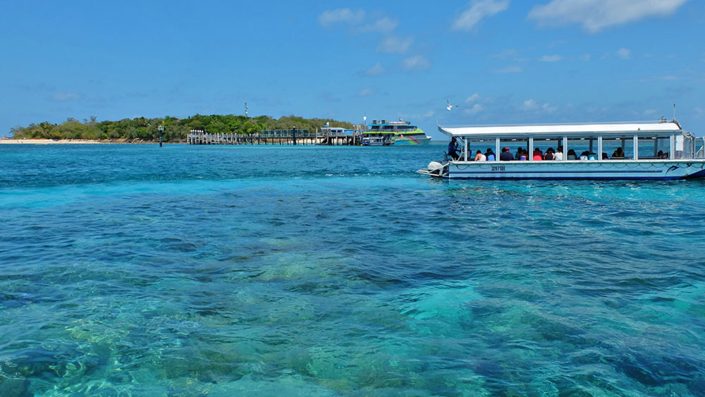 glass bottom boat tours of the great barrier reef