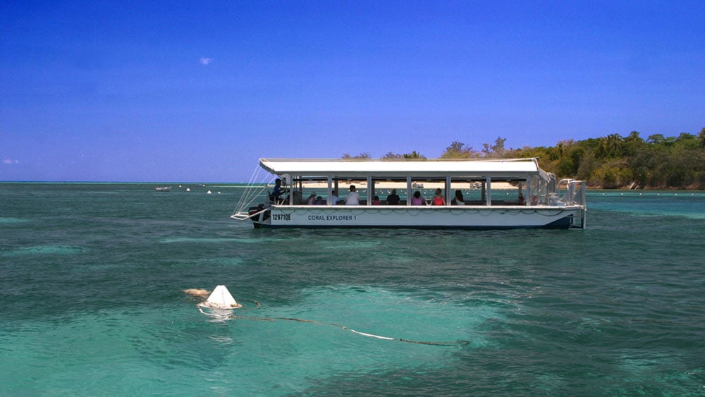 Glass bottom boat tour - Great Barrier Reef | Great Adventures