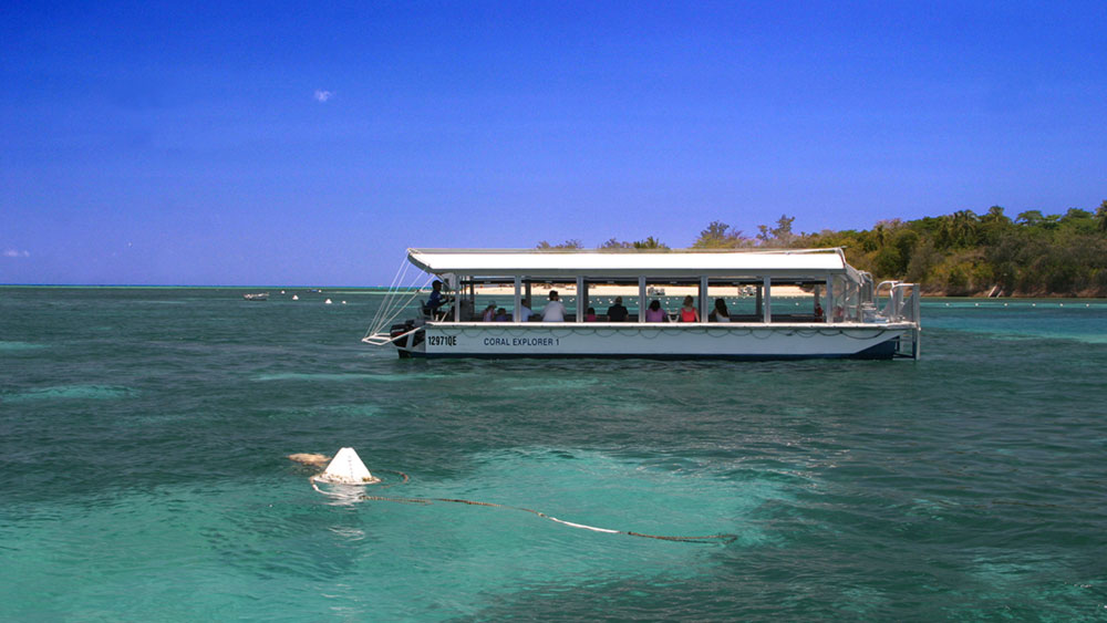 glass bottom boat tour - great barrier reef great adventures