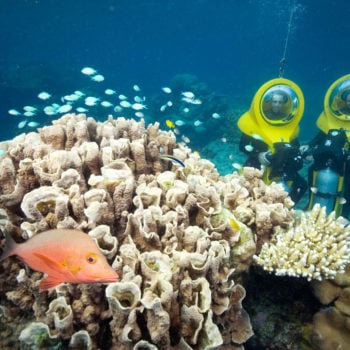 Scuba Doo Outer Great Barrier Reef