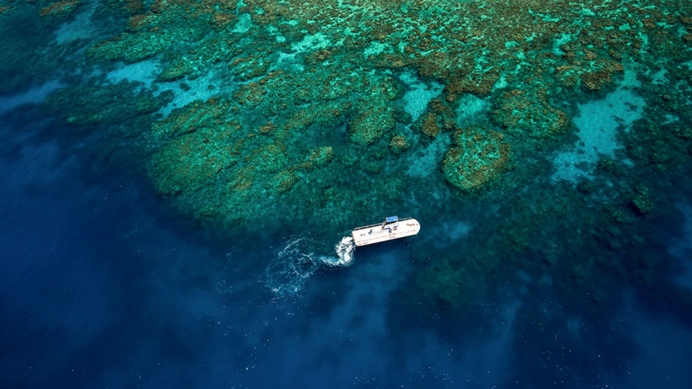 Semi Sub and Underwater Observatory - Great Barrier Reef | Great Adventures