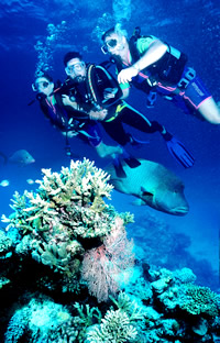 Great Barrier Reef Scuba Dive